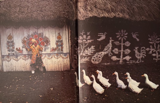 Bruno Barbey and "Portrait of Poland" (1982) - the hamlet of Zapipie near Tarnów - an old woman in the countryside