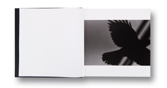 Spread from Ravens by Masahisa Fukase