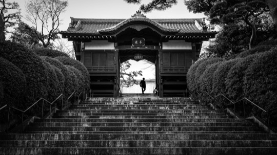 Blessed Tokyo, street photography